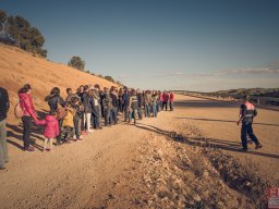 _DSC0298